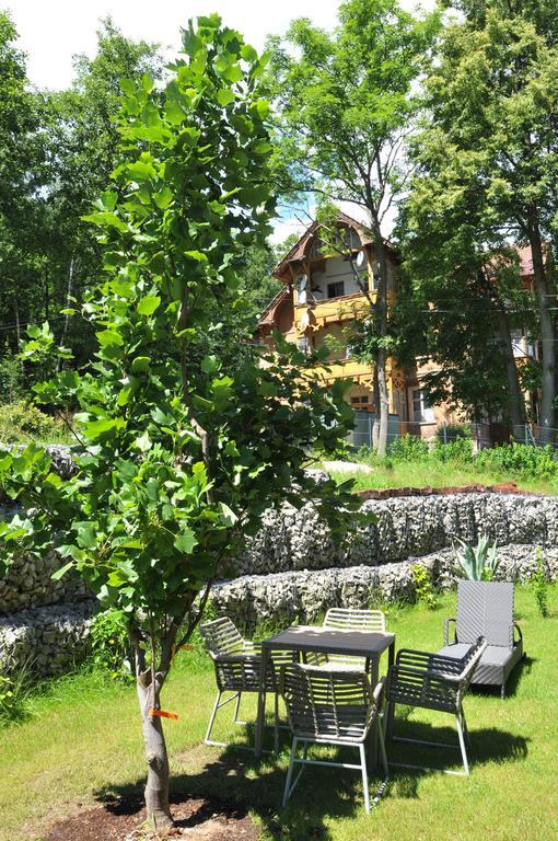 Boutique Hotel Sudetia - Medical & Spa Сверадув-Здруй Экстерьер фото