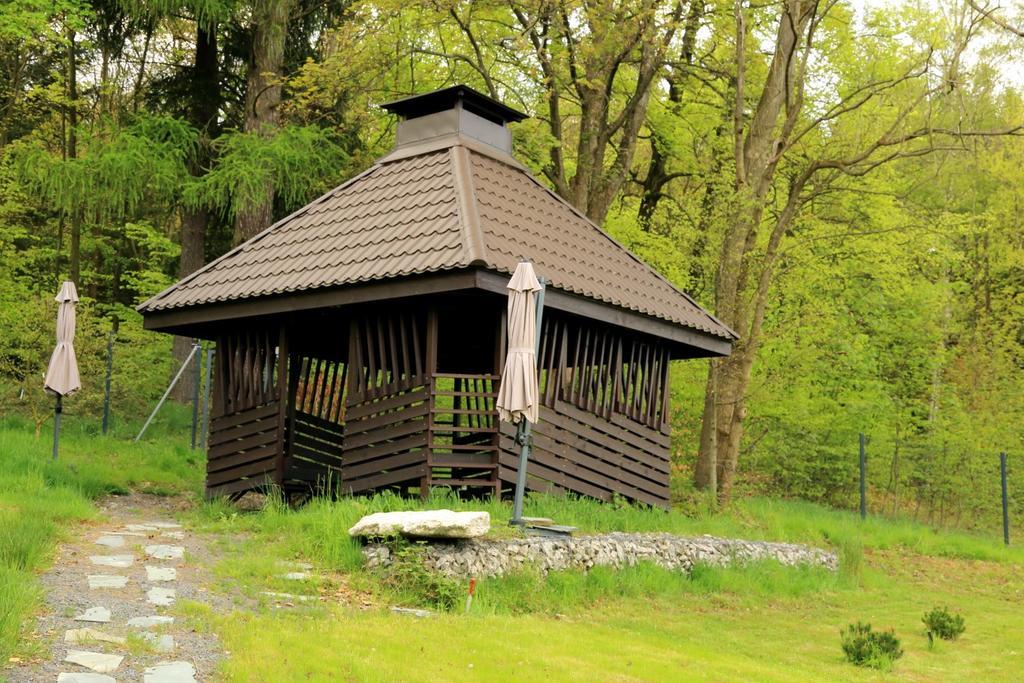 Boutique Hotel Sudetia - Medical & Spa Сверадув-Здруй Экстерьер фото